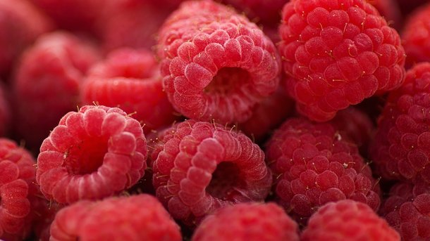 All about raspberries and their properties