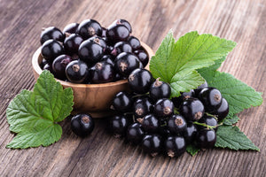 Composition and application of black currant