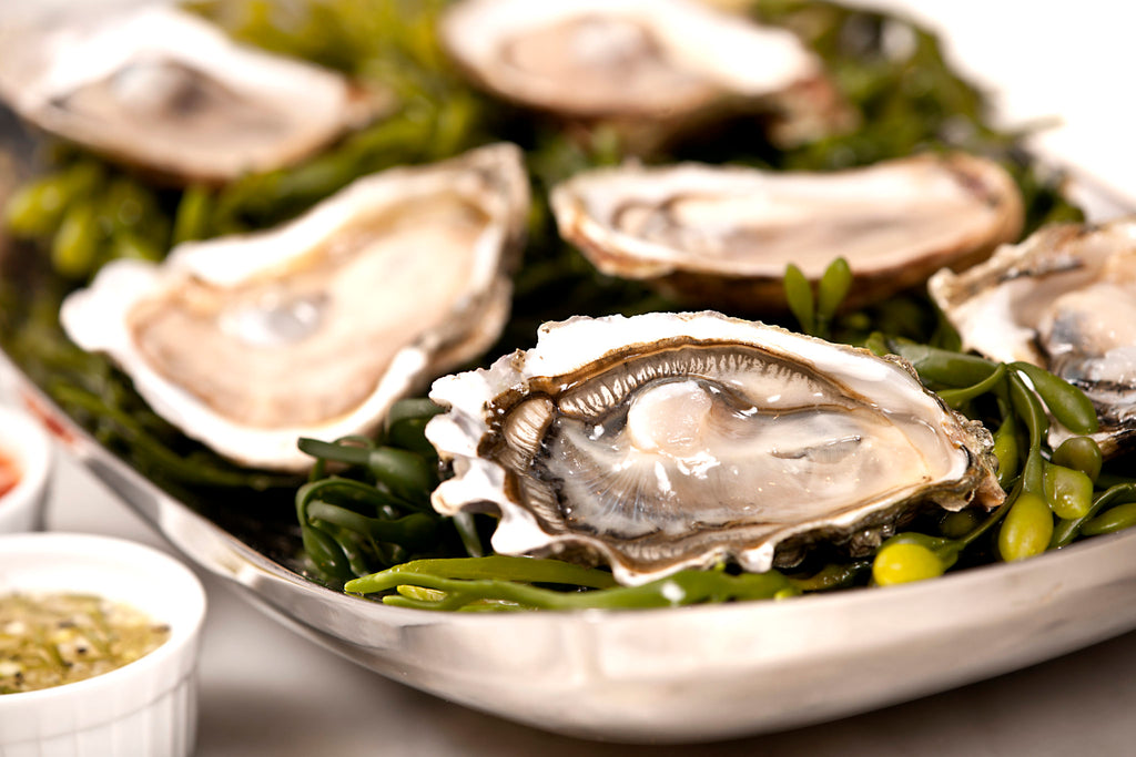 Oysters: benefits for the human body