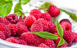 Raspberries: benefit and harm to the health of the body