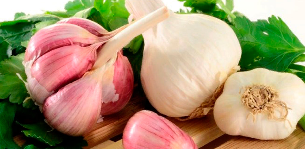 10 Foods That Can Help You Look 10 Years Younger